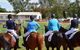 The Gunnedah Show - thumb 2