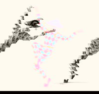 The Australian Ballet presents Harlequinade - Tourism Gold Coast
