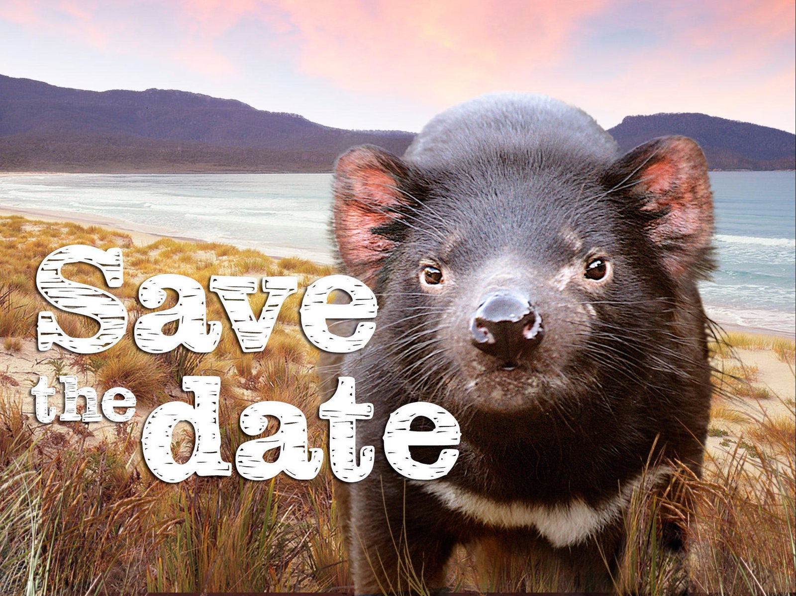 Rhyndaston TAS Gold Coast