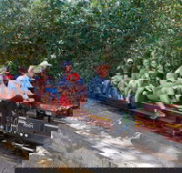 Twilight Run   Willans Hill Miniature Railway - Tourism Gold Coast