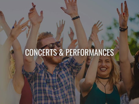 Van The Man - Tourism Gold Coast 0