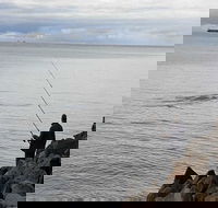 Whale Watching in Portland - Tourism Gold Coast