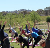 Yoga in the Vines - Tourism Gold Coast
