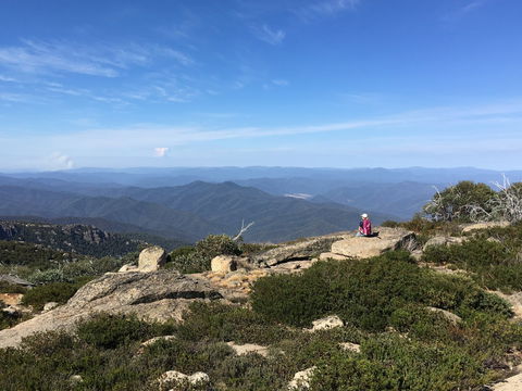 Hedonistic Hiking's Buffalo And Bubbles - Tourism Gold Coast 1