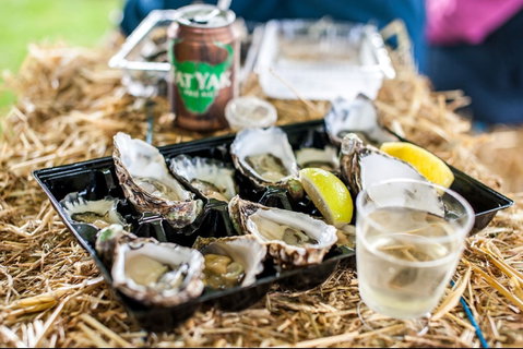 Narooma Oyster Festival - Tourism Gold Coast 1