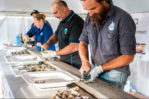 Narooma Oyster Festival - Tourism Gold Coast 2