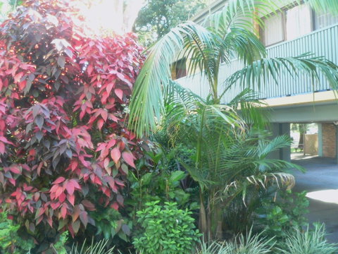 Port Stephens Motel - Gold Coast 0