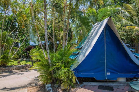 Tasman Holiday Parks - Airlie Beach - Tourism Gold Coast 5