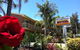 Mollymook Paradise Haven Motel - thumb 0
