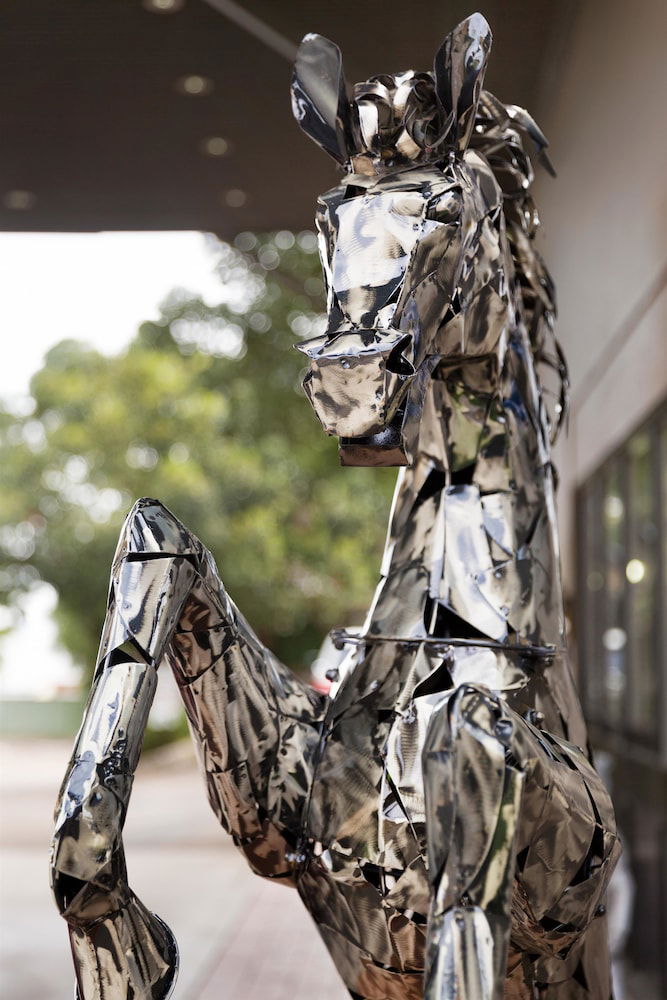 Tamworth NSW Tourism Gold Coast