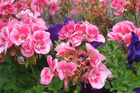 Port Campbell Motor Inn - Tourism Gold Coast 3