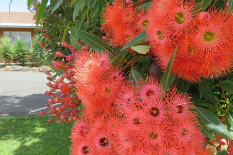 Port Campbell Motor Inn - Tourism Gold Coast 4