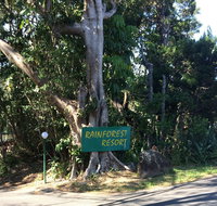 Byron Bay Rainforest Resort - Tourism Gold Coast