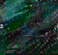 Broken River Mountain Resort - Gold Coast