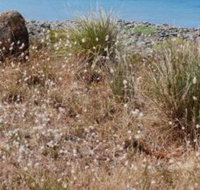 Schouten House - Tourism Gold Coast