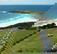 Diamond Island Resort  Bicheno Penguin Show - Tourism Gold Coast