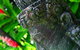 Hibiscus Resort & Spa - thumb 1