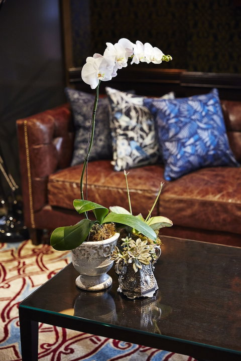 View Brisbane - Gold Coast 0