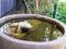 Hope Cottage Country Retreat - Tourism Gold Coast 4