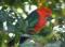 Hope Cottage Country Retreat - Tourism Gold Coast 2