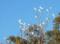 Hope Cottage Country Retreat - Tourism Gold Coast 1