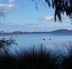 Lilacs Waterfront Villas  Cottages - Tourism Gold Coast