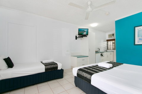 Cairns City Palms - Tourism Gold Coast 3
