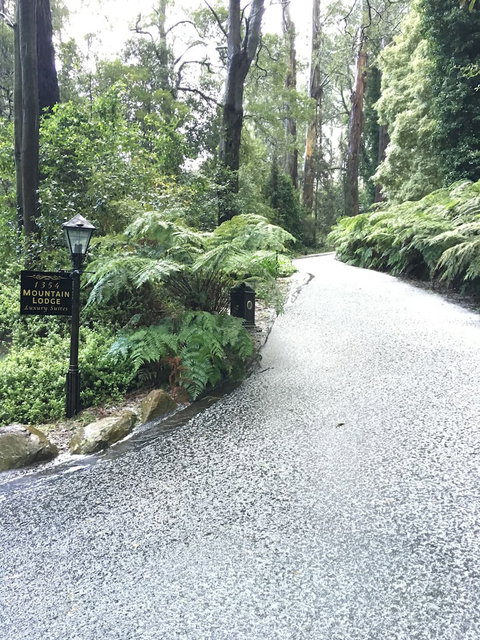 Mountain Lodge - Tourism Gold Coast 0