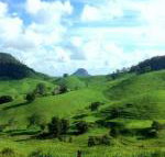 Rosecliffe Boutique Farm Cottages - Tourism Gold Coast