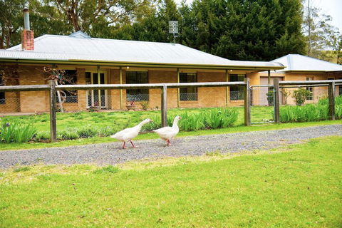 Farm Club Australia - Tourism Gold Coast 1