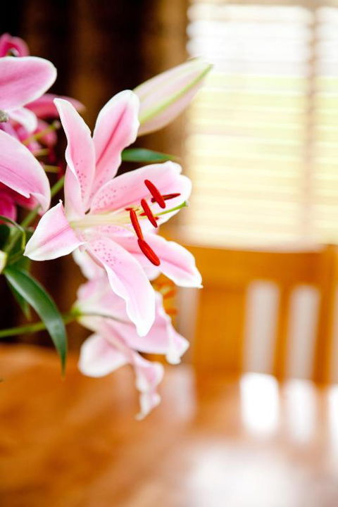 Ocean Mist Villa - Tourism Gold Coast 6