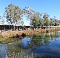 Victoria Lake Holiday Park - Tourism Gold Coast