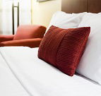 Rileys Bed  Breakfast - Tourism Gold Coast
