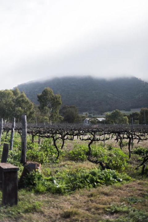 Hope Farm Guesthouse - Tourism Gold Coast 2