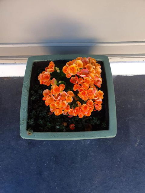 Parkside Motel Morwell - Tourism Gold Coast 6