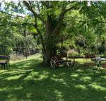 Bielbys Hideaway - Tourism Gold Coast