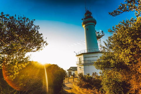 Abaleen House - Tourism Gold Coast 5