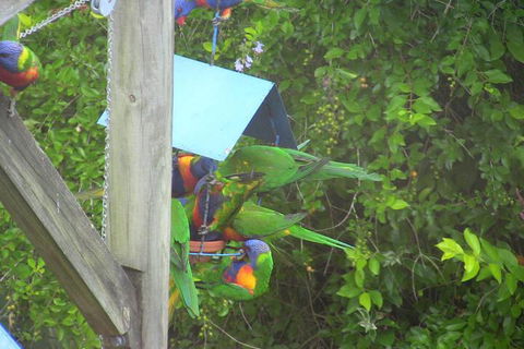 A Lakehouse Escape - Tourism Gold Coast 4