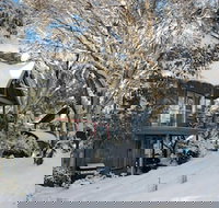 Milkwood - Gold Coast