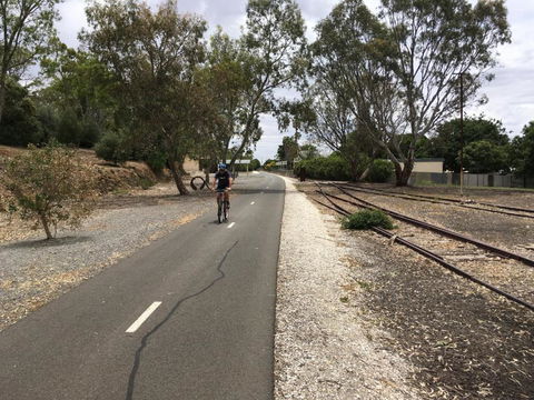 Bluebird Cottage - Tourism Gold Coast 3