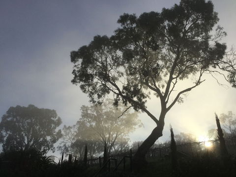 Barossa White House - Tourism Gold Coast 3