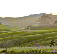 Ketchup's Bank Glamping - Tourism Gold Coast