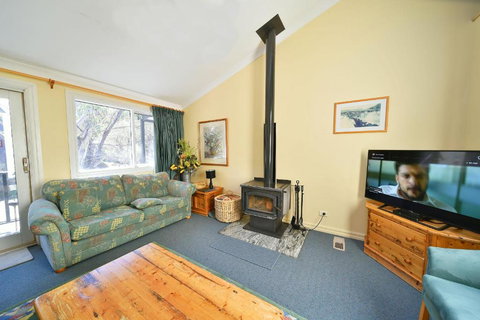 Three Bears 2 - Gold Coast 5