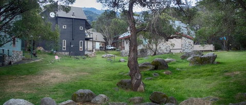 Three Bears 2 - Gold Coast 2