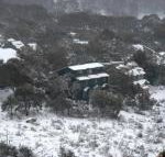 Three Bears 2 - Gold Coast