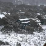 Three Bears 2 - Gold Coast 0