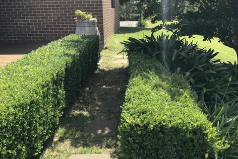 The Willows B N B - Tourism Gold Coast 3