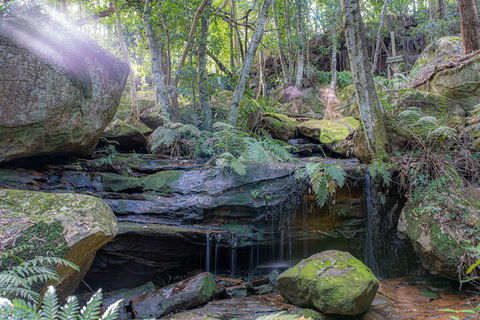 Waterfall Springs Retreat And Wildlife Sanctuary - Tourism Gold Coast 3