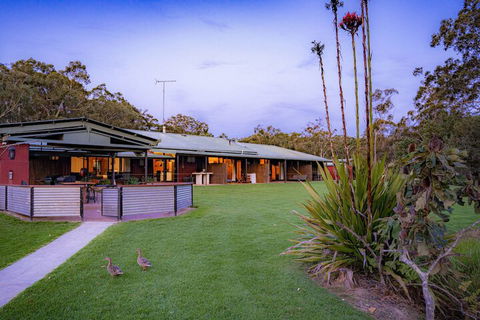 Waterfall Springs Retreat And Wildlife Sanctuary - Tourism Gold Coast 4