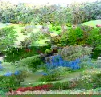 The Acreage BB - Tourism Gold Coast